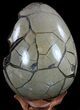 Septarian Dragon Egg Geode With Removable Section #56151-4